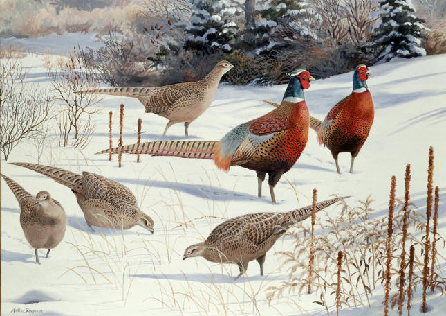 Arthur Singer Phesants