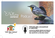 Nature Centered Pocast