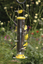 Quick Clean Foundational Feeder