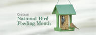 National Birdfeeding month
